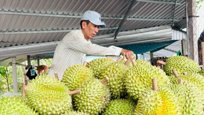 Từ ngày 1-7, vận hành hệ thống truy xuất nguồn gốc nông, lâm, thủy sản