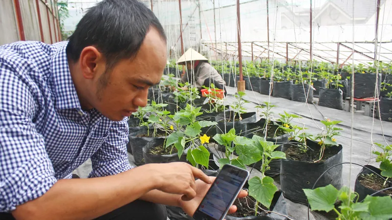 Người dùng có thể chăm sóc, quản lý khu vườn thông qua ứng dụng trên điện thoại, máy tính có kết nối internet