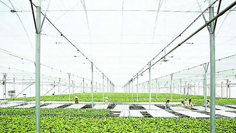 Chỉ trong vòng 24 tháng, VinEco đã xây dựng và phát triển thành công 14 nông trường quy mô và chuyên nghiệp trên cả nước