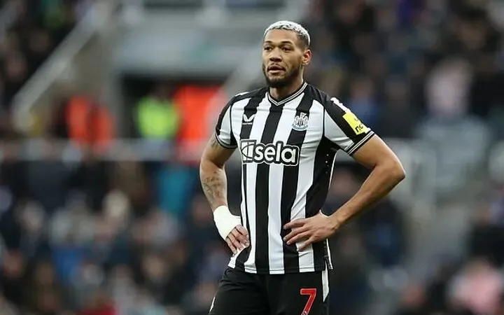 Joelinton ngồi trên khán đài đã phát hiện kẻ trộm qua điện thoại