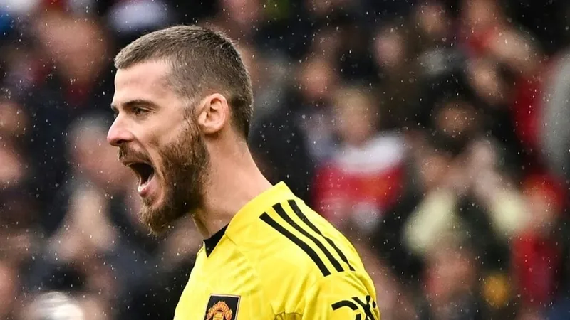 David de Gea vẫn còn là một người gác đền hữu dụng