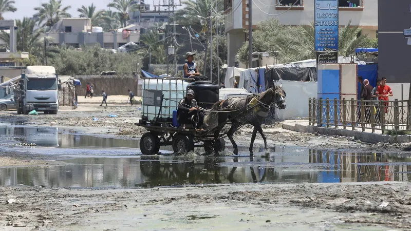 Phát hiện virus gây bệnh bại liệt trong các mẫu nước thải ở Gaza. Ảnh: Guardian