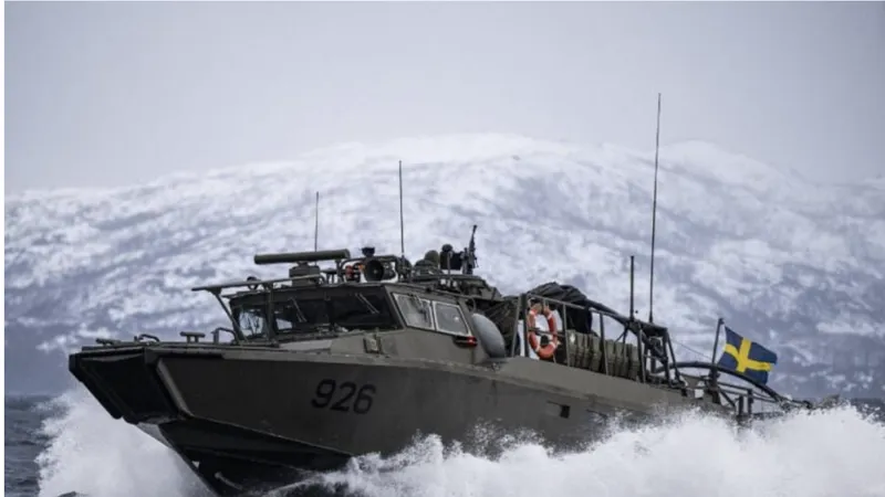 Thụy Điển tham gia cuộc tập trận Steadfast Defender của NATO vào tháng 3 -2024. Ảnh: Express Tribune