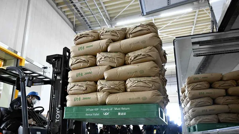 Xuất gạo dự trữ ra khỏi một nhà kho ở tỉnh Saitama ngày 18 - 3. Ảnh : Yomiuri Shimbun