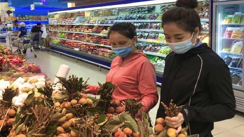 Trái vải chính gốc Hải Dương và Bắc Giang đã có mặt tại hệ thống siêu thị Co.opmart