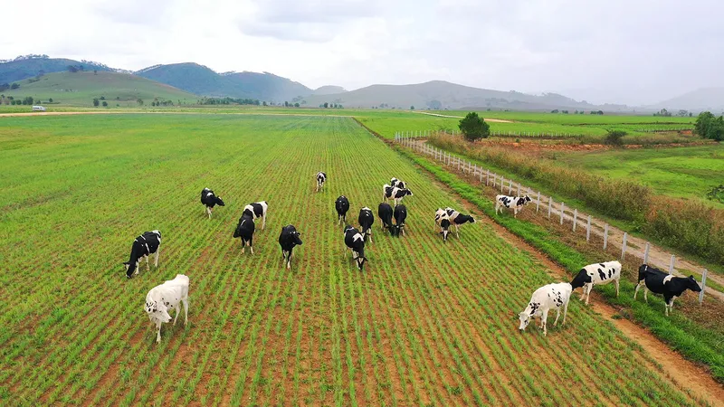 Siêu dự án trang trại của Vinamilk tại Lào sẽ “cho sữa” vào đầu năm 2022