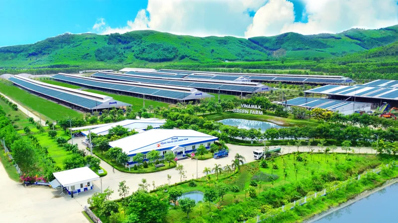 Lượng carbon trung hòa của trang trại Green Farm tương đương 30.000 sân bóng phủ đầy cây xanh, lượng nước tuần hoàn tương đương 86 hồ bơi Olympic…