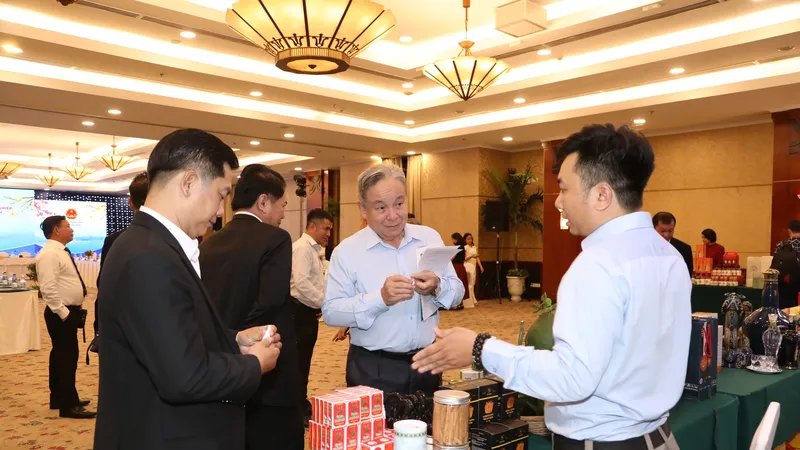 Tỉnh Bình Định ưu tiên thu hút đầu tư nhiều lĩnh vực trọng điểm