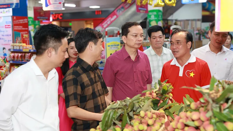 Vải thiều - đặc sản tỉnh Bắc Giang đã có mặt tại 800 điểm bán của Saigon Co.op