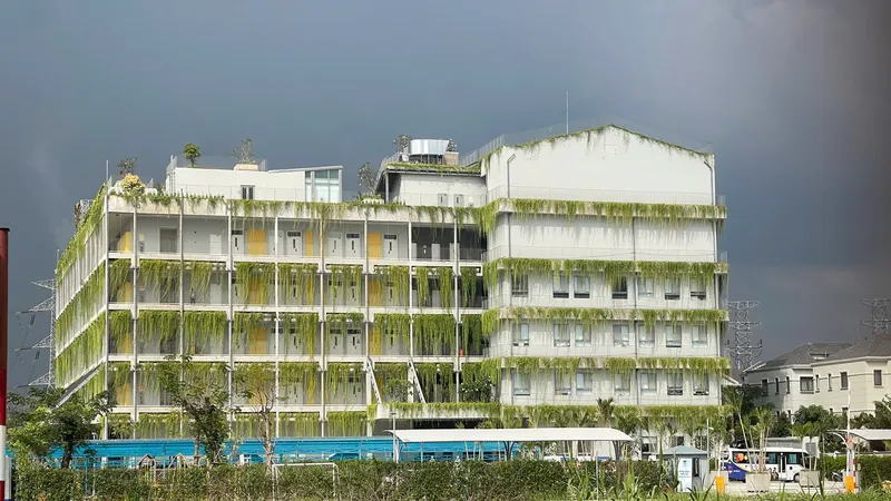 Trường Victoria Nam Sài Gòn được phủ xanh hoàn toàn. Ảnh Hoàng Hùng