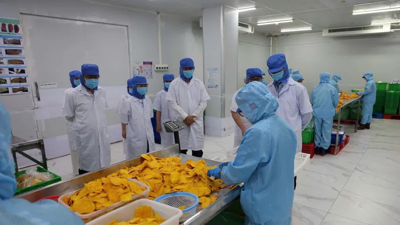 Công ty TNHH TM Chế biến Nông sản Thực phẩm Tuấn Đạt, TPHCM. Ảnh MINH XUÂN