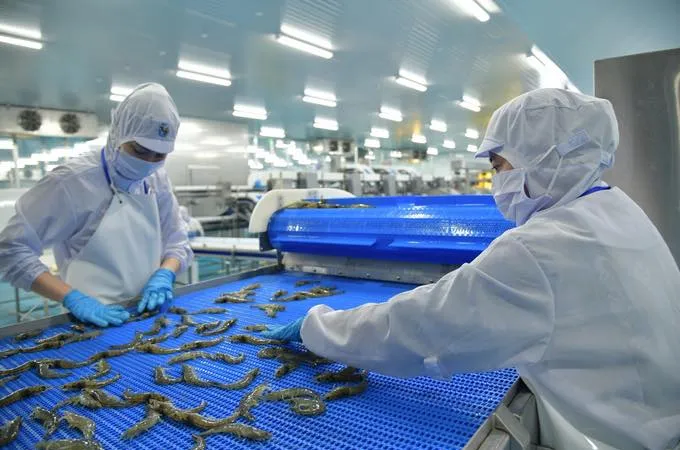 Doanh nghiệp thuỷ sản Việt đang tăng tốc chuyển hướng xuất khẩu mạnh vào thị trường Châu Âu