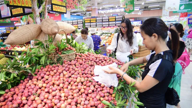 Hơn 300 tấn mận hậu Sơn La đang được bày bán trong hệ thống Co.opmart. Ảnh: MINH PHÚC
