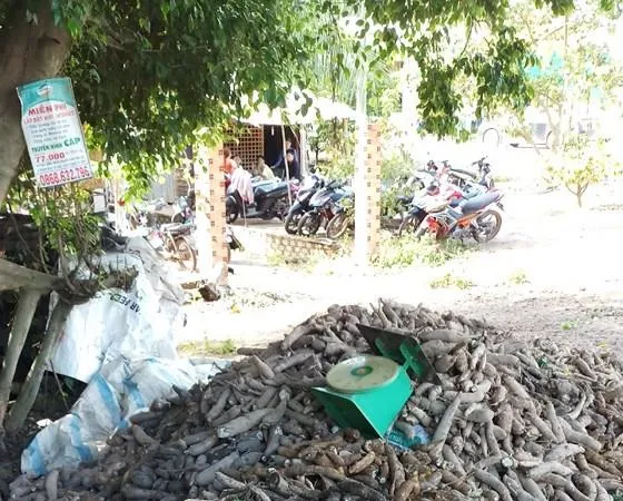  Hiện trường vụ việc 