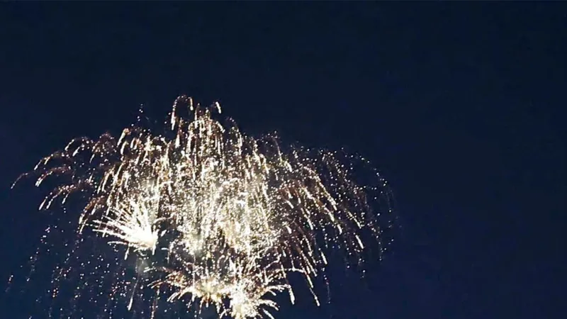 Đồng Nai tổ chức bắn pháo hoa chào mừng Ngày Giải phóng miền Nam, thống nhất đất nước và 136 năm Ngày sinh Chủ tịch Hồ Chí Minh