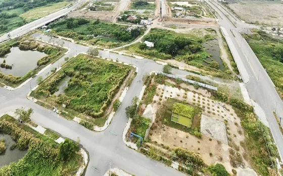 TPHCM chưa xác định khi nào tổ chức đấu giá lại 2 lô đất bỏ cọc ở Thủ Thiêm