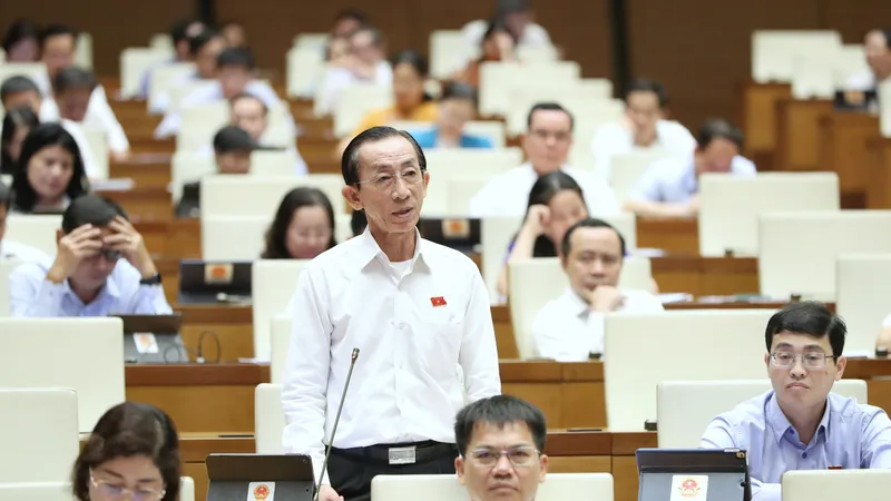 Đại biểu Quốc hội: Nhà, đất công lãng phí là vấn đề nhức nhối hiện nay