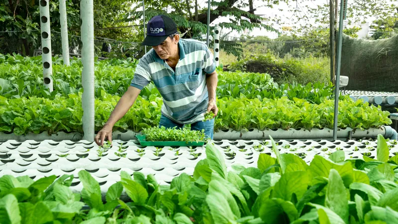 Chính thức công nhận quận Bình Tân không còn hộ nghèo