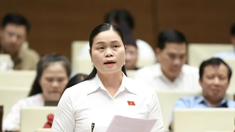 Chưa thống nhất phương án rút bảo hiểm xã hội 1 lần, thì cần lùi thời gian thông qua luật