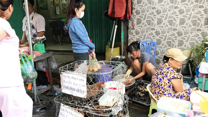 TPHCM đã cấm nhưng tình trạng buôn bán gia cầm sống không qua kiểm dịch, giết mổ gia cầm trái phép vẫn diễn ra khá phổ biến ở nhiều nơi trên địa bàn TPHCM.