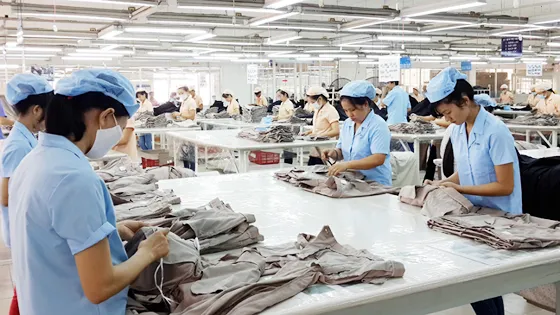 Năm 2019 chưa nên điều chỉnh lương khối doanh nghiệp? ​