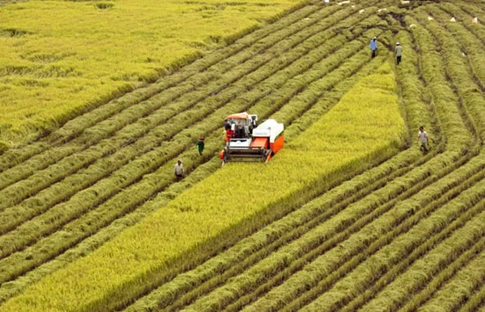 Doanh nghiệp phản ánh, trong lĩnh vực nông nghiệp, việc tiếp cận vốn vay rất khó khăn