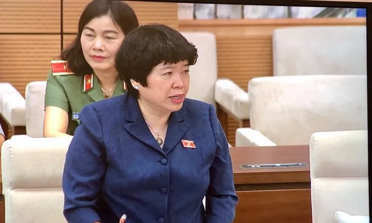 Chủ nhiệm Ủy ban về các vấn đề xã hội Nguyễn Thúy Anh báo cáo tại phiên họp