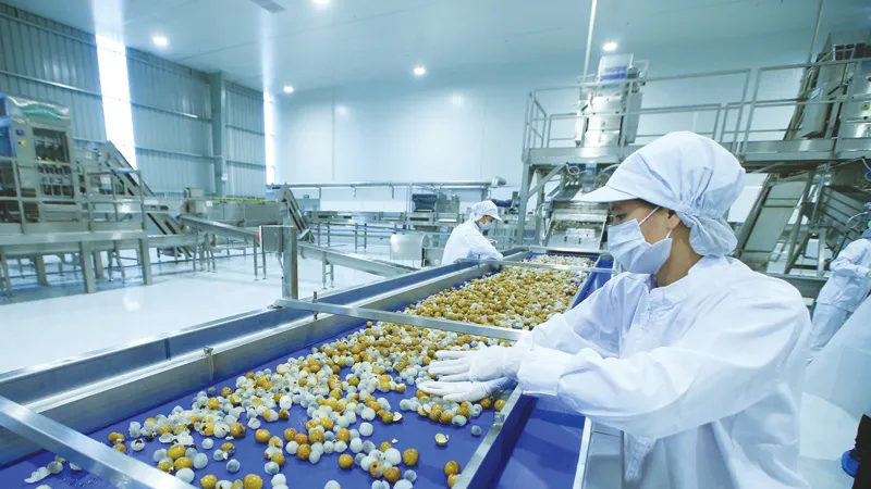 Trong trường hợp Quốc hội quyết định tiếp tục thu kinh phí công đoàn từ người sử dụng lao động, doanh nghiệp kiến nghị dành khoản tiền này chỉ phục vụ cho việc chăm lo đời sống người lao động tại doanh nghiệp