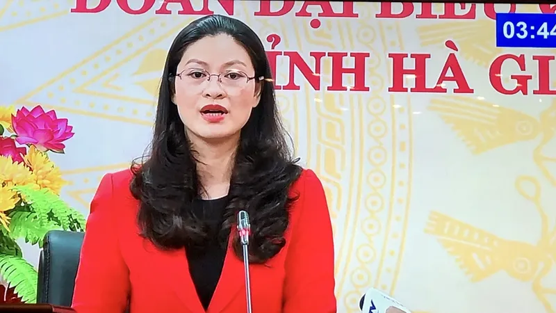 ĐB Vương Ngọc Hà (Hà Giang) phát biểu tại phiên họp.