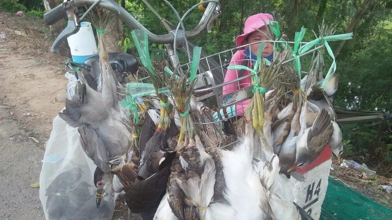 Thực tế lây lan dịch bệnh giữa động vật hoang dã và con người gia tăng và tình trạng kháng thuốc kháng sinh ngày càng phổ biến
