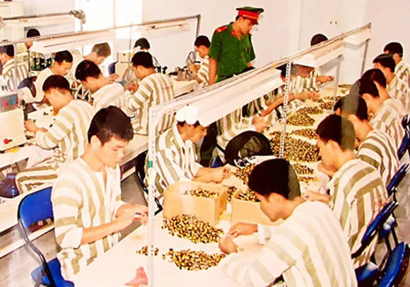 Từ 1-9-2022, thí điểm tổ chức hoạt động lao động, hướng nghiệp, dạy nghề cho phạm nhân ngoài trại giam