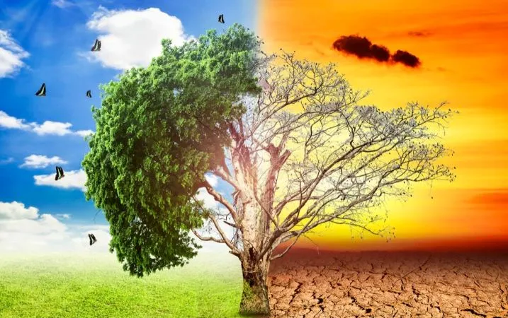Châu Á và Thái Bình Dương đang ở tuyến đầu của cuộc khủng hoảng khí hậu. Ảnh minh họa