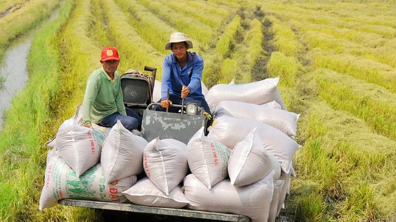 An ninh lương thực quốc gia được đảm bảo