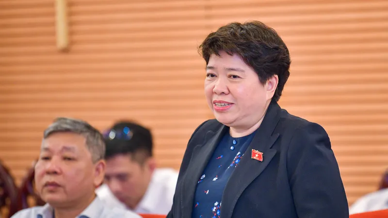 Chủ nhiệm Ủy ban Xã hội Nguyễn Thúy Anh chủ trì phiên họp