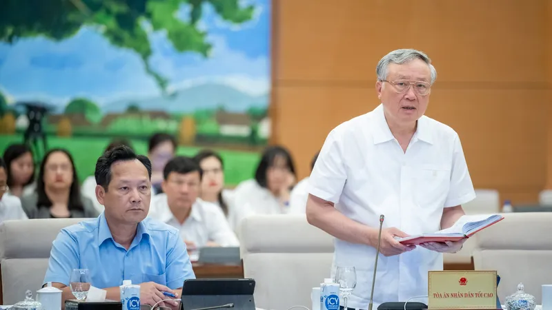 Chánh án Tòa án nhân dân (TAND) tối cao Nguyễn Hòa Bình nhấn mạnh sự cần thiết phải có sự đối xử đặc biệt với người phạm tội vị thành niên