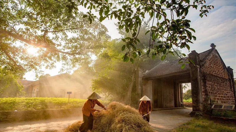 Là di sản có cư dân sinh sống, làng cổ Đường Lâm là khu vực có thể được xây dựng, cải tạo nhà ở riêng lẻ 