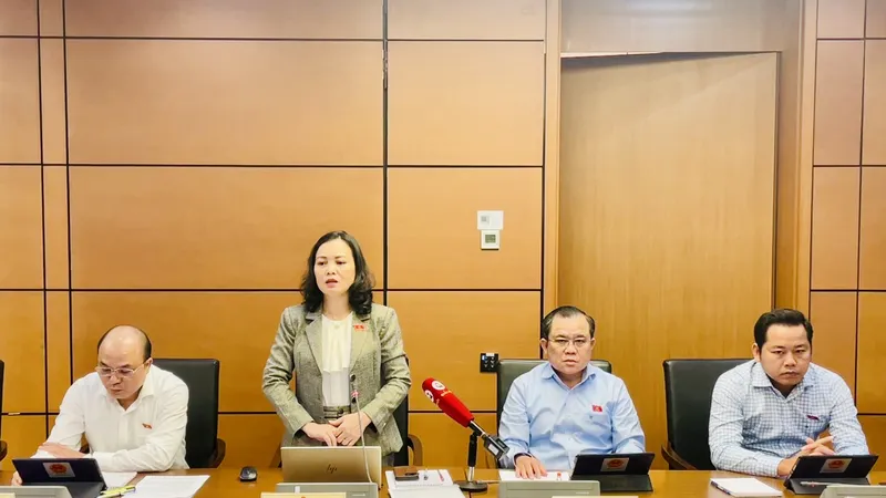Phó trưởng Đoàn ĐBQH tỉnh Bà Rịa - Vũng Tàu Huỳnh Thị Phúc phát biểu chiều 8-11