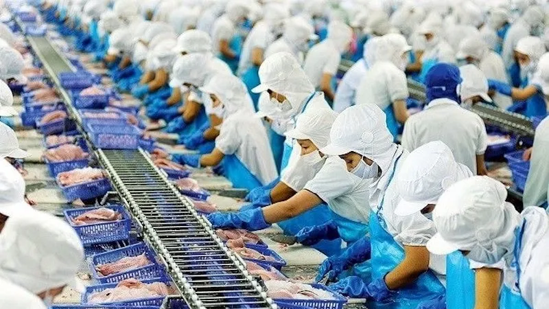 Nhiều sản phẩm đủ tiêu chuẩn xuất khẩu EU nhưng không thể tiêu thụ tại Việt Nam