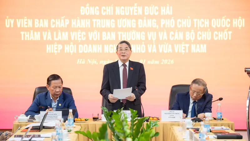 Phó Chủ tịch Quốc hội Nguyễn Đức Hải phát biểu tại buổi làm việc 