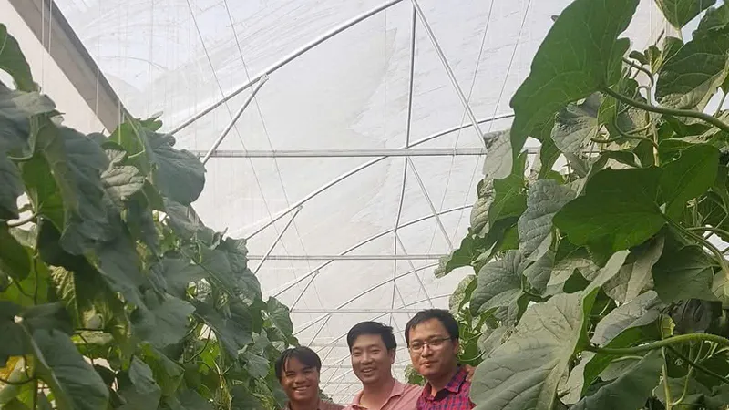 Từ sự cần cù, mạnh dạn áp dụng tiến bộ khoa học kỹ thuật, anh Nguyễn Hồng Quyết (giữa) đã trở thành tỷ phú dưa lưới