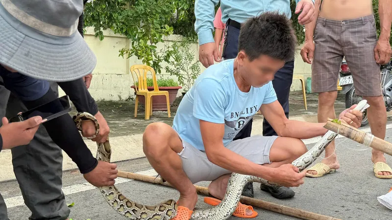 Người dân bắt trăn ở gần Bến tàu du lịch Nha Trang chiều 17-10. Ảnh: NHẬT THANH