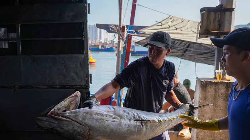 Ngư dân Khánh Hòa hứng khởi đón chuyến biển đầu xuân