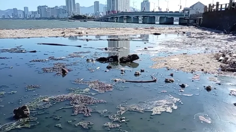Dòng nước thải chưa qua xử lý đổ ra biển tại khu vực công viên phía Bắc cầu Trần Phú. Ảnh: NDCC