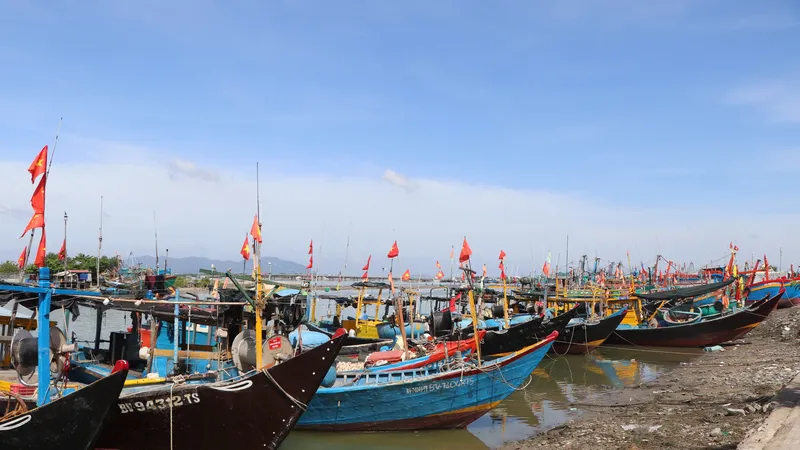Đề xuất xây dựng cơ chế xử lý hiệu quả vi phạm IUU trong Luật Đô thị đặc biệt 