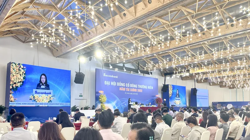 Trình phương án xử lý cổ phiếu của ông Trầm Bê