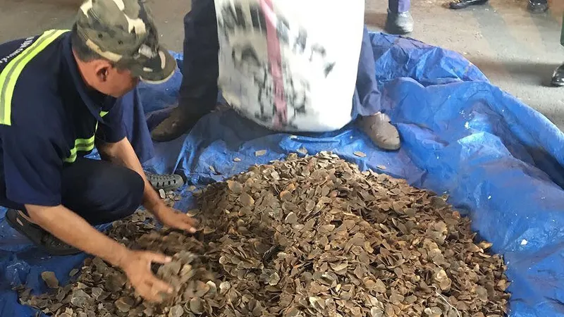 Tang vật thu giữ. Ảnh: ĐAN NGUYÊN