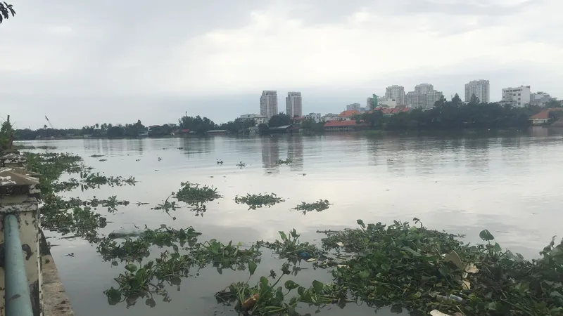 Phát hiện thi thể nam thanh niên trôi trên sông Sài Gòn