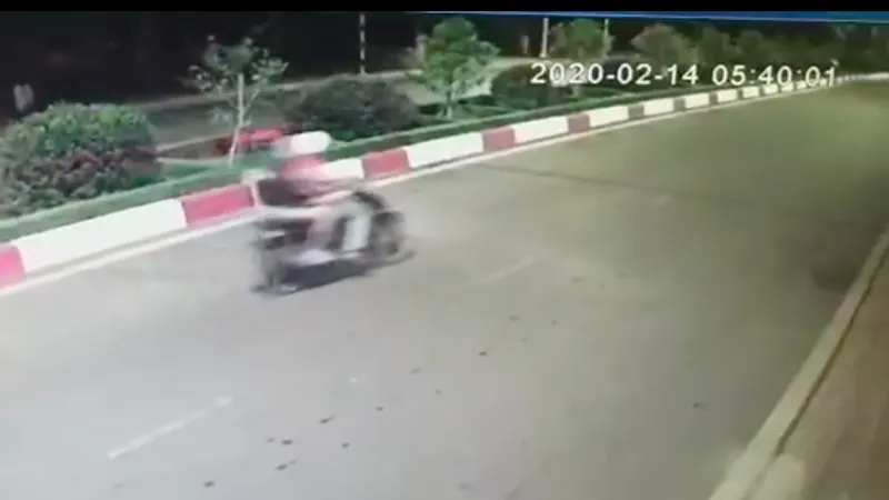 Hình ảnh 2 đối tượng