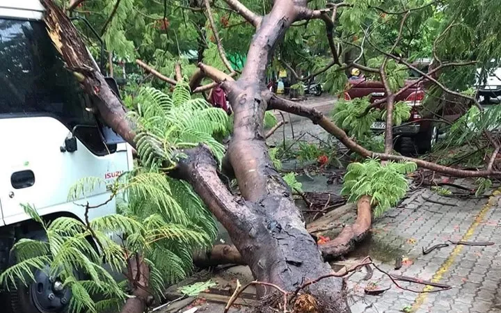 Hiện trường vụ việc