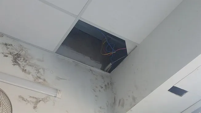 Điện máy Xanh bị mất trộm lô điện thoại trị giá 800 triệu đồng